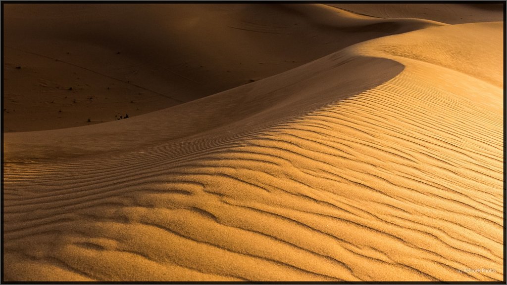 Sahara-Sunrise-25.jpg