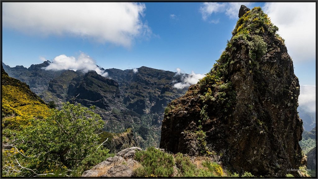 Madeira-65.jpg