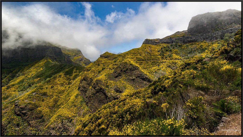 Madeira-66.jpg