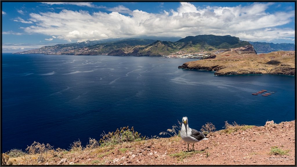 Madeira-78.jpg