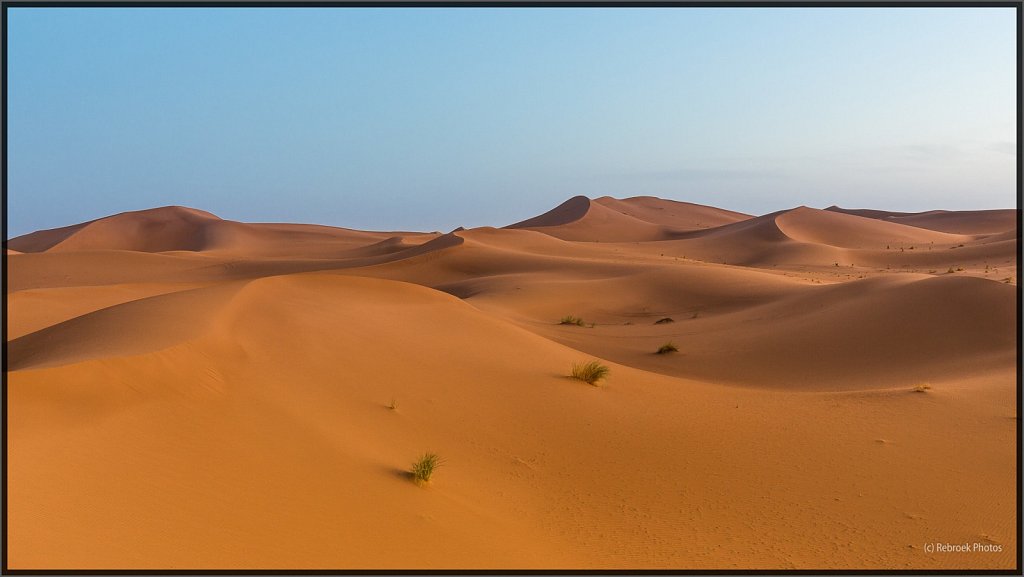Sahara-Sunset-25.jpg
