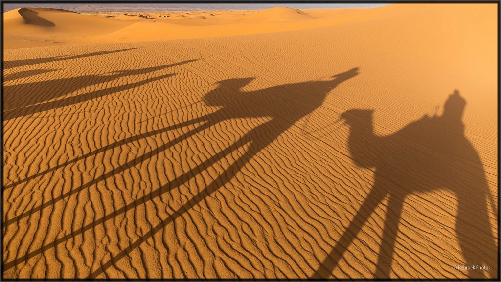 Sahara-Sunrise-29.jpg