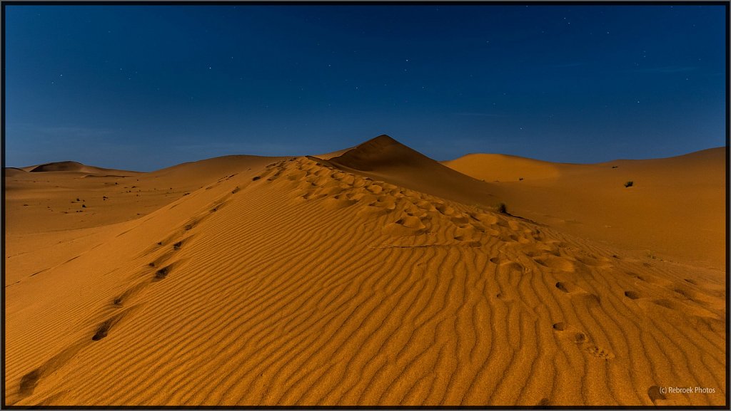 Sahara-Night-16.jpg