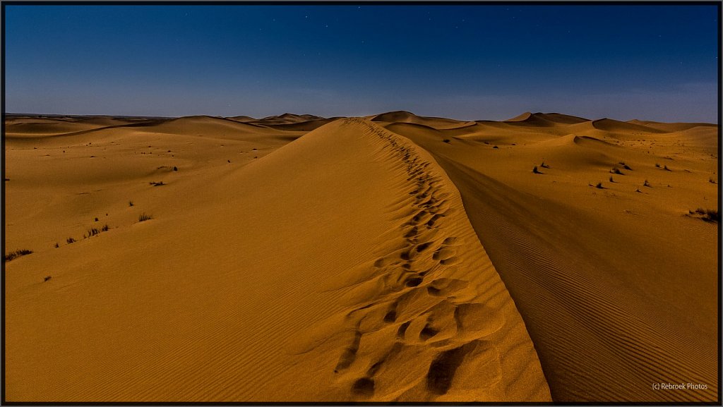 Sahara-Night-19.jpg